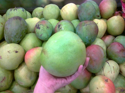 humongous Australian mango in green color